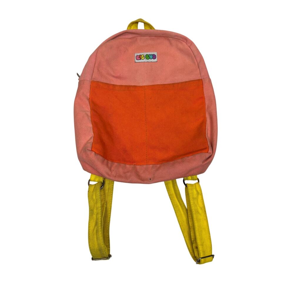 Big Bud Press Canvas Mini Backpack Multicolor Daypack